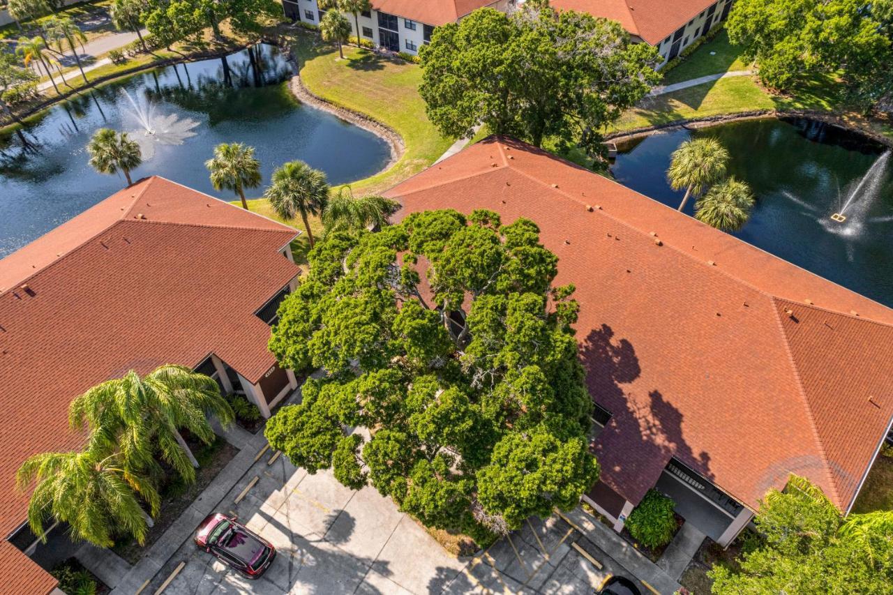 Palm Lagoon Bradenton